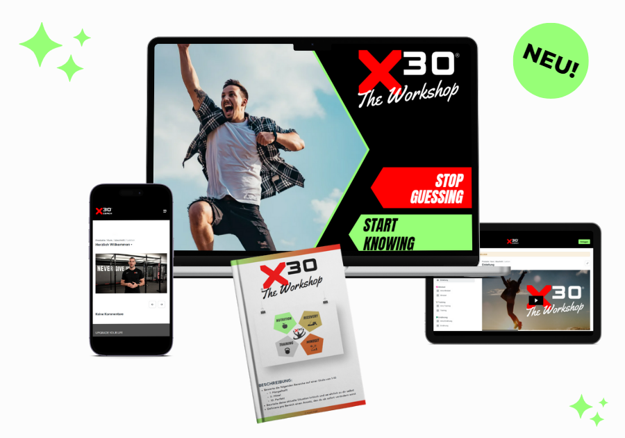 Infografik zu x30-The Workshop
